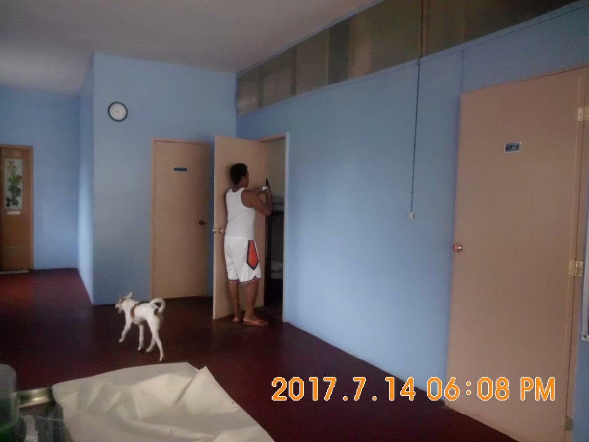 Fat Monkey Hostel Coron Kültér fotó